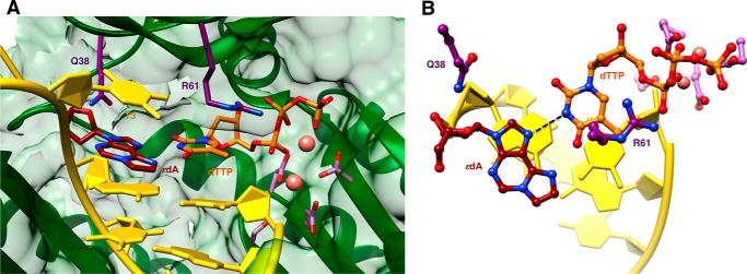 FIGURE 4.