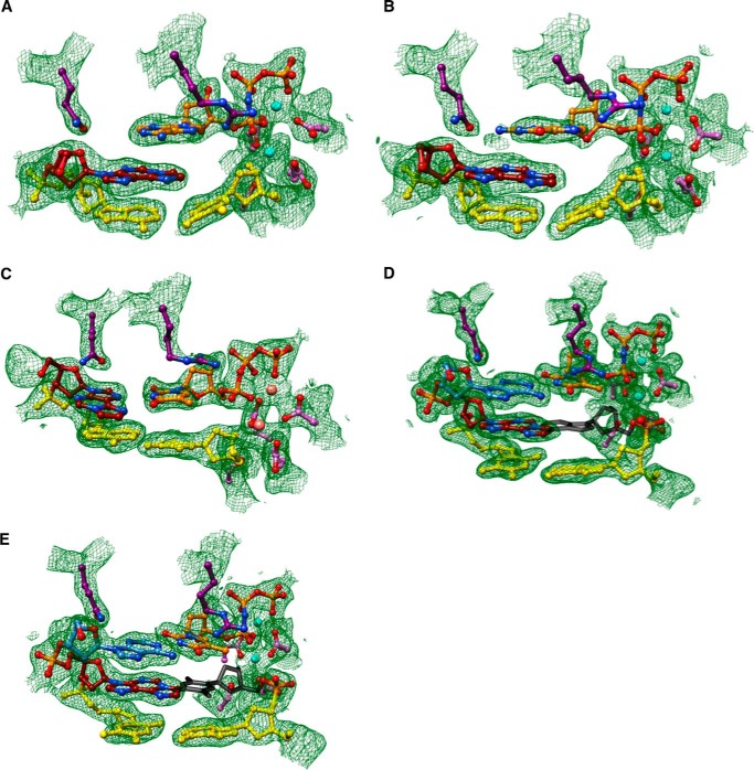 FIGURE 2.