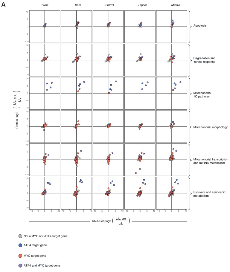 Figure 4—figure supplement 3.