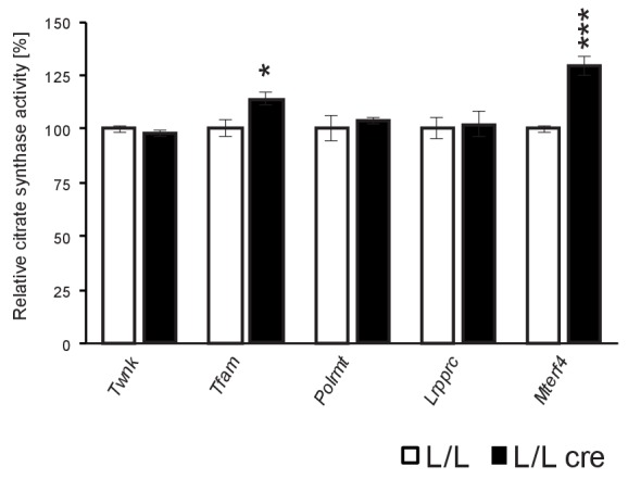 Figure 1—figure supplement 1.