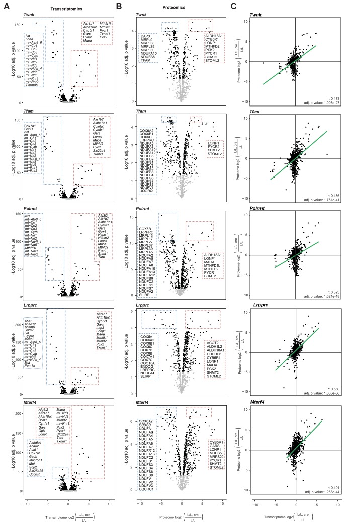 Figure 4—figure supplement 1.