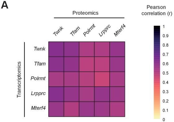 Figure 4—figure supplement 2.