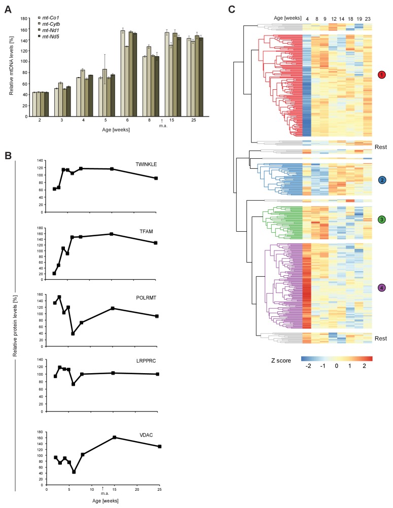 Figure 2—figure supplement 1.