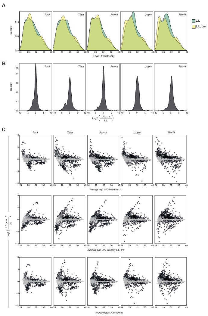 Figure 1—figure supplement 4.