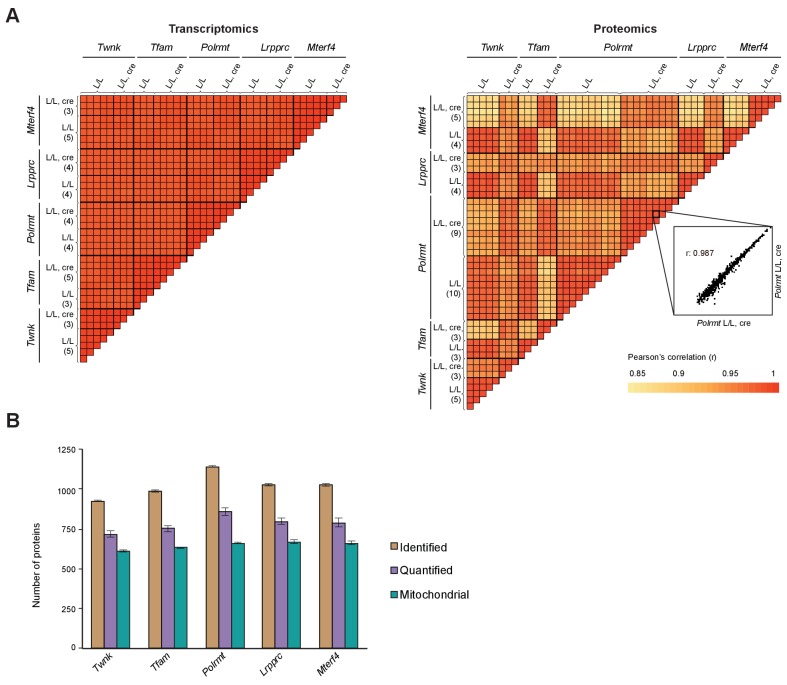 Figure 1—figure supplement 2.