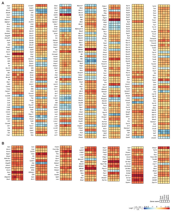 Figure 3—figure supplement 1.