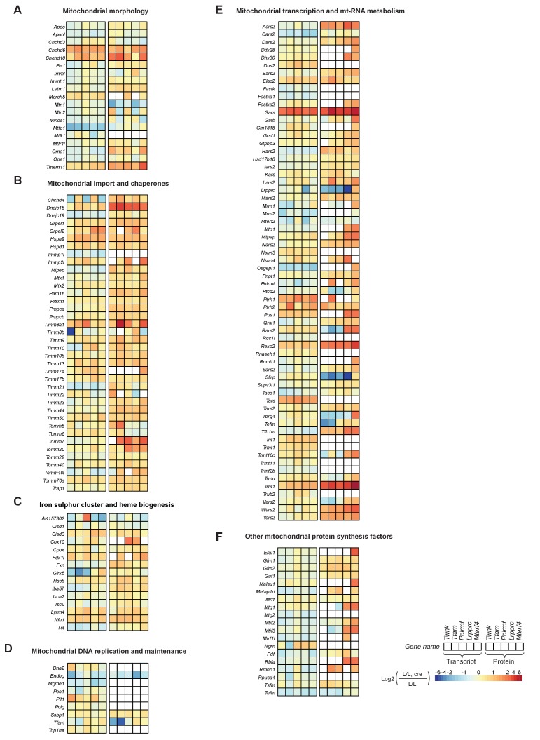 Figure 5—figure supplement 1.