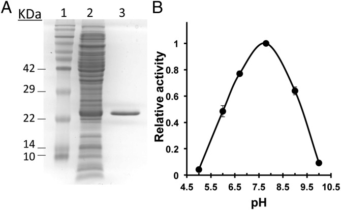 Fig. 6.