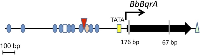 Fig. S1.