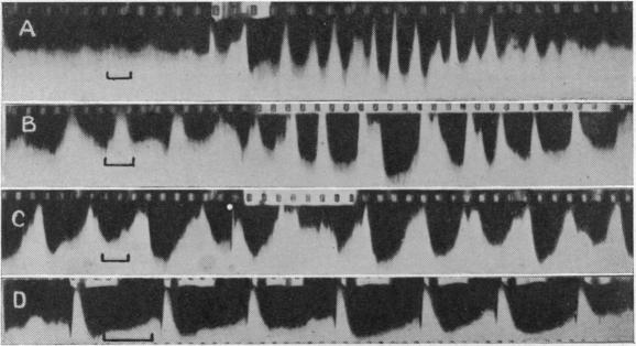 Fig. 18