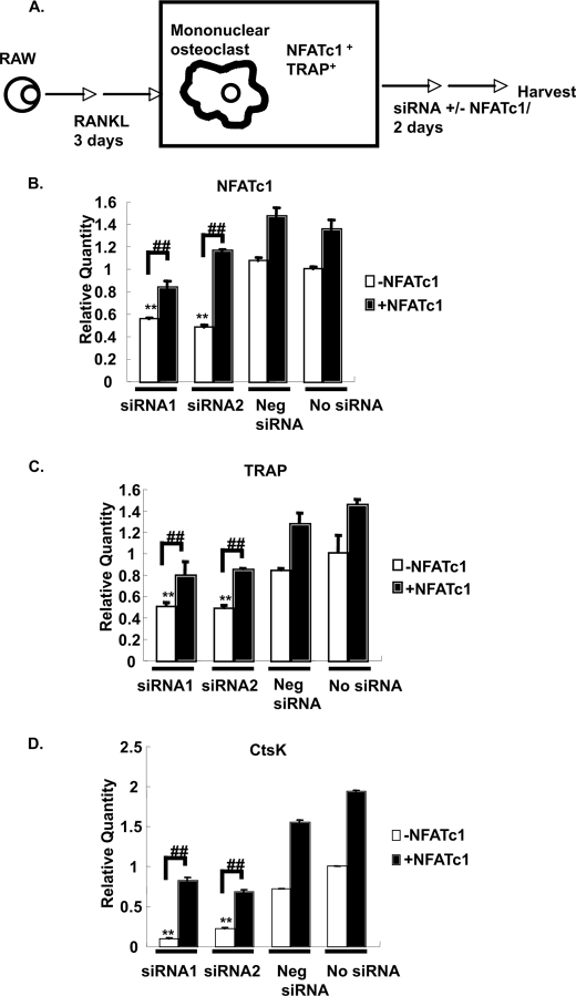 FIGURE 10.