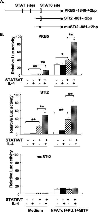 FIGURE 7.