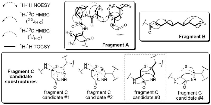 Fig. 3