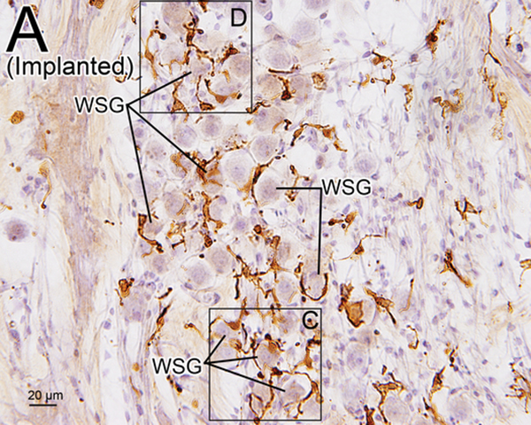 Figure 5.