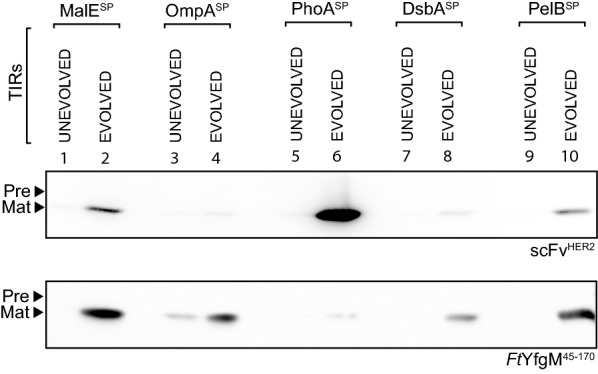 Fig. 4