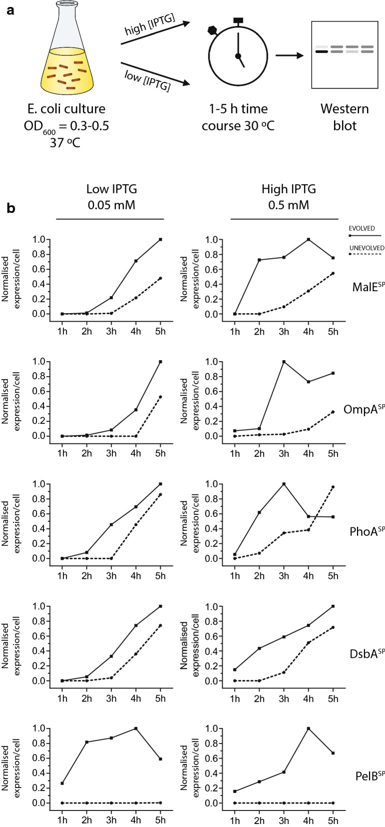 Fig. 3