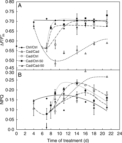 Fig. 7.