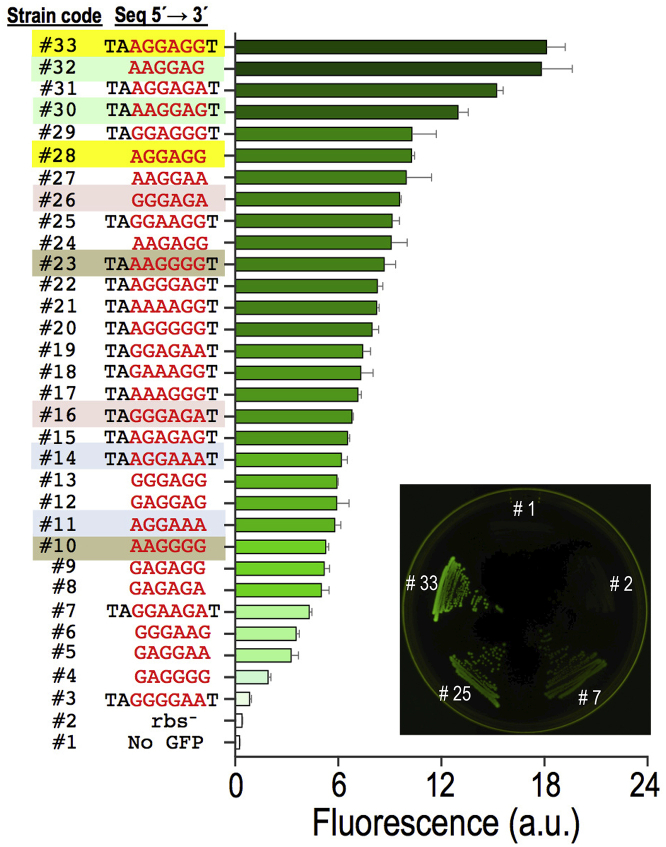 Figure 6