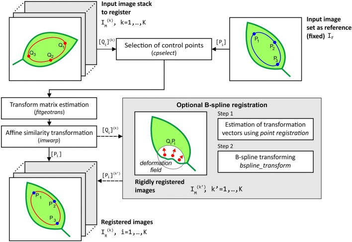 Fig. 4