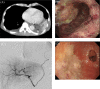 Fig 3 –