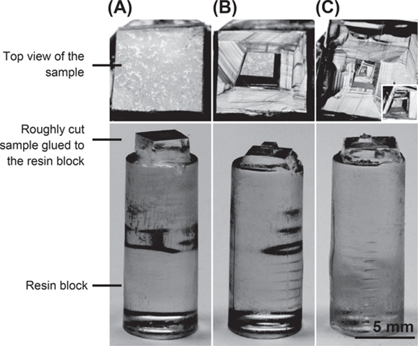 FIGURE 3