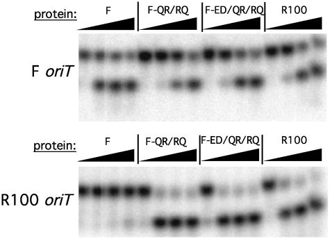 Fig. 5.