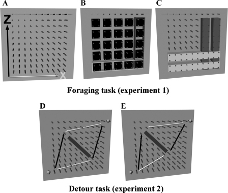 Fig. 1