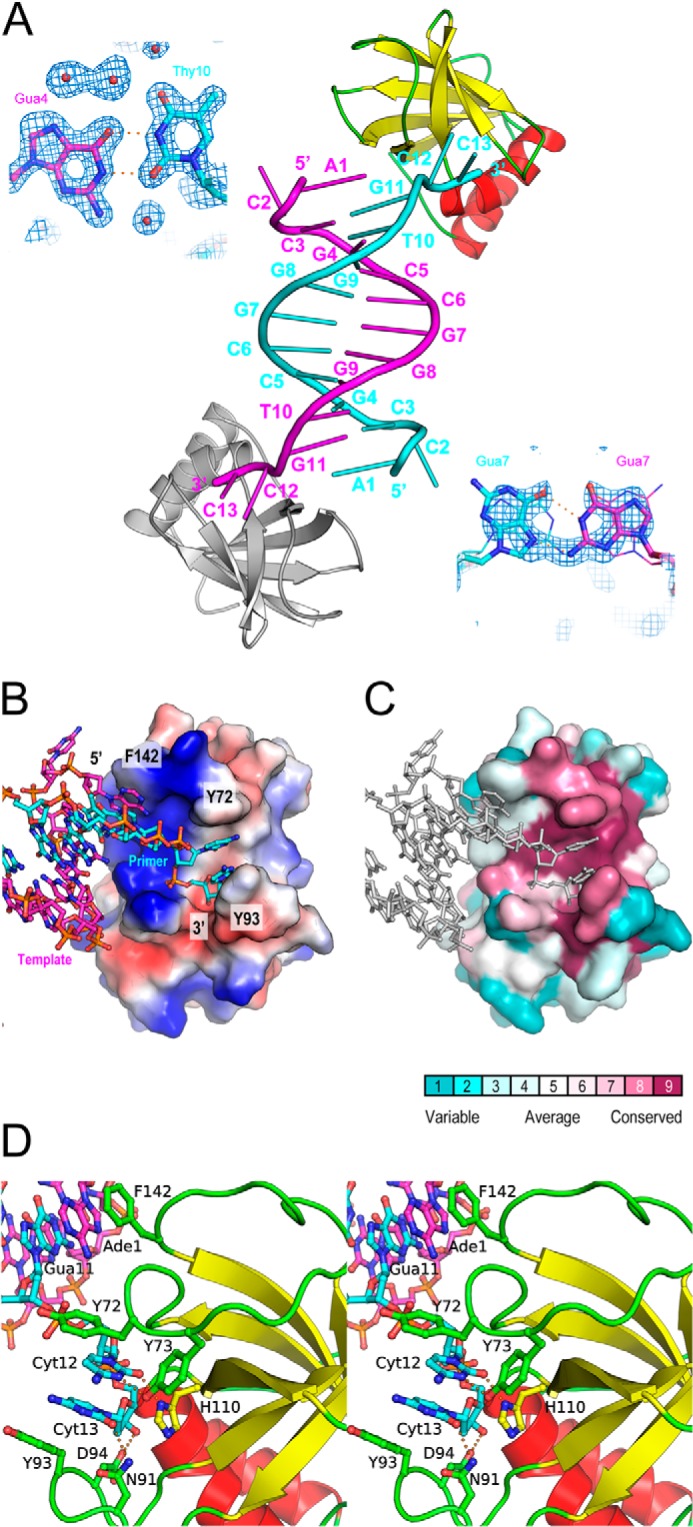 FIGURE 2.