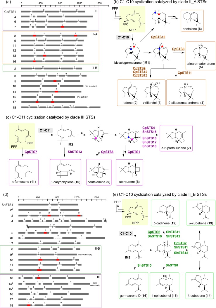 FIG 3