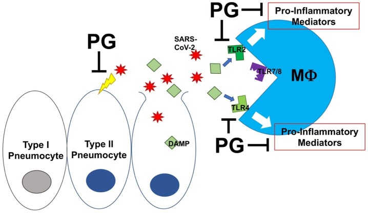 Fig. 1