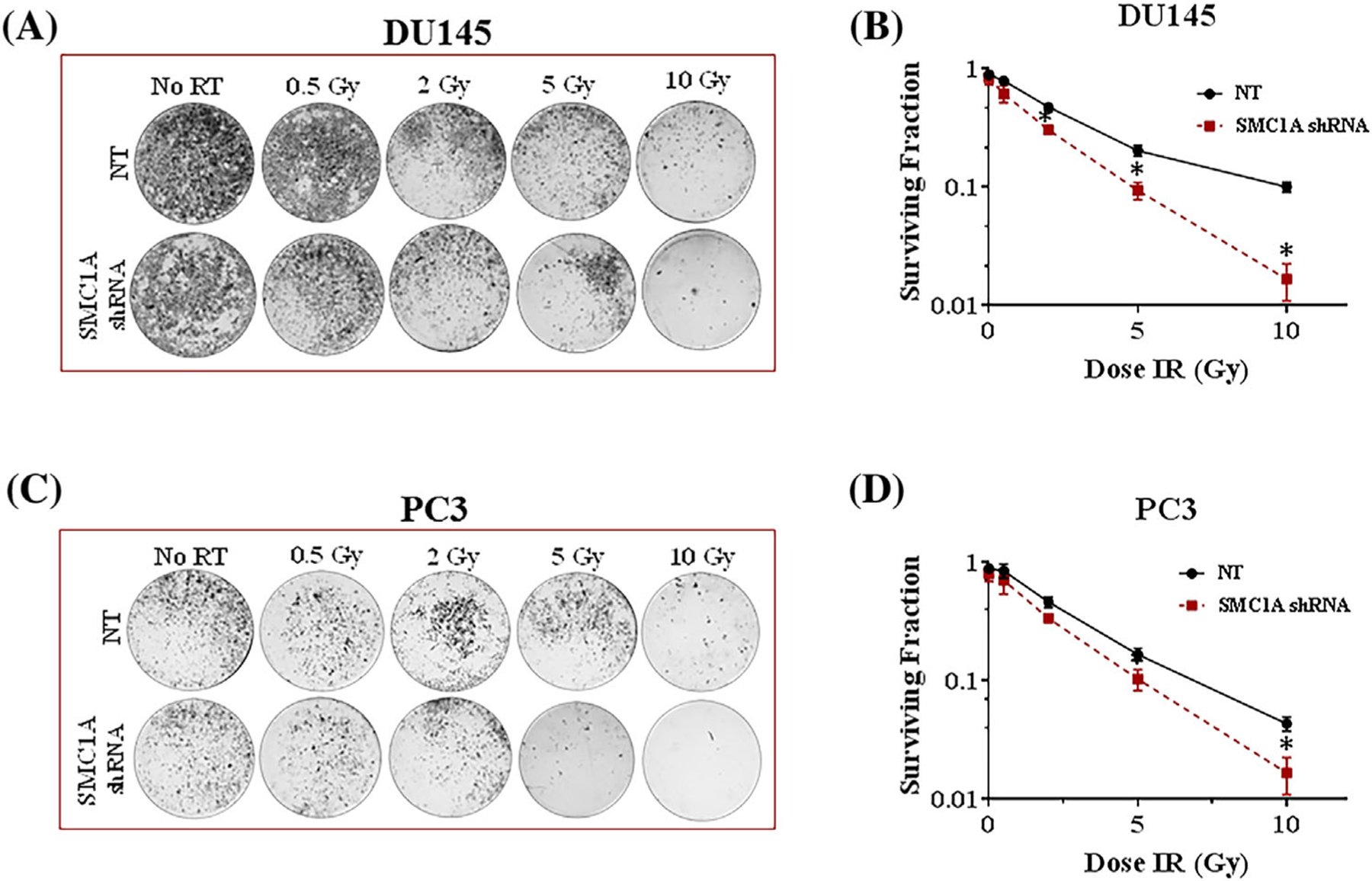 FIGURE 3