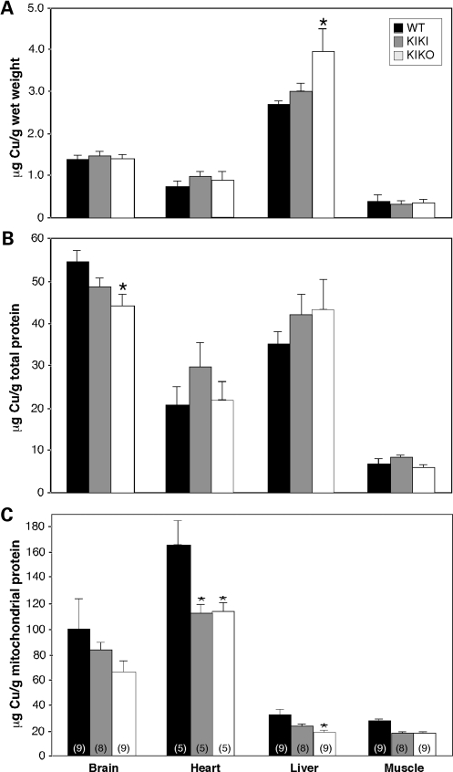 Figure 3.