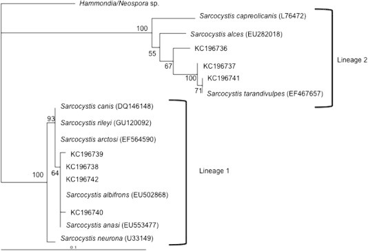 Fig. 3