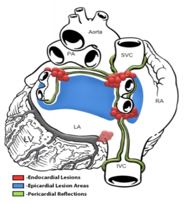 Figure 1: