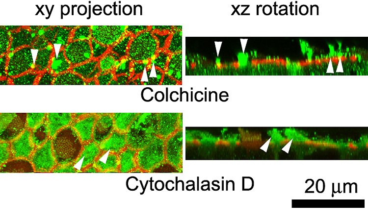 Figure 10