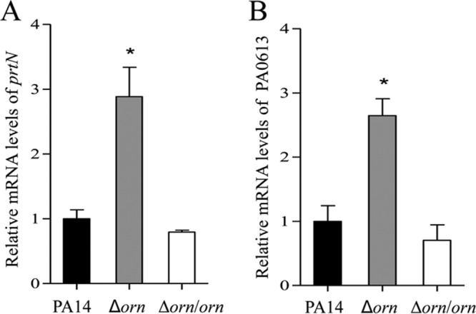 FIG 2