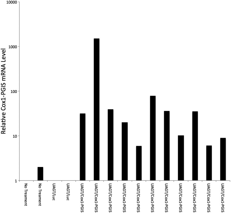 Figure 4.