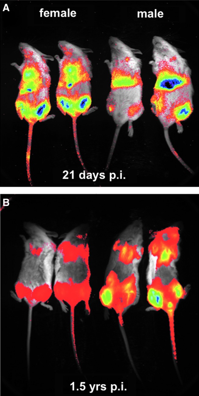 FIG. 6.