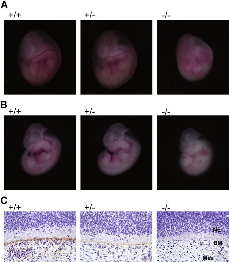 Figure 3