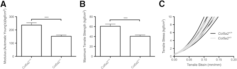 Figure 7