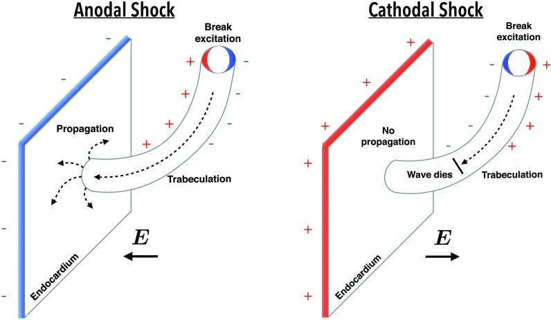 FIG. 10.