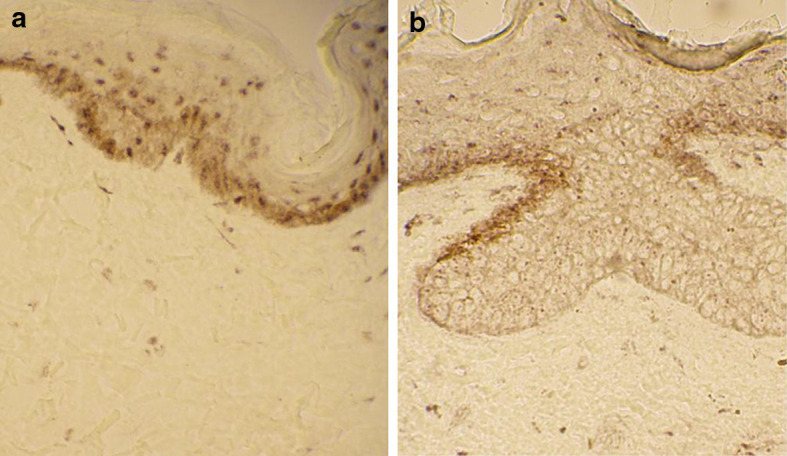 Fig. 6