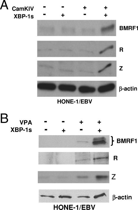 FIG. 6.