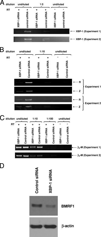 FIG. 7.