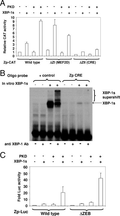 FIG. 5.