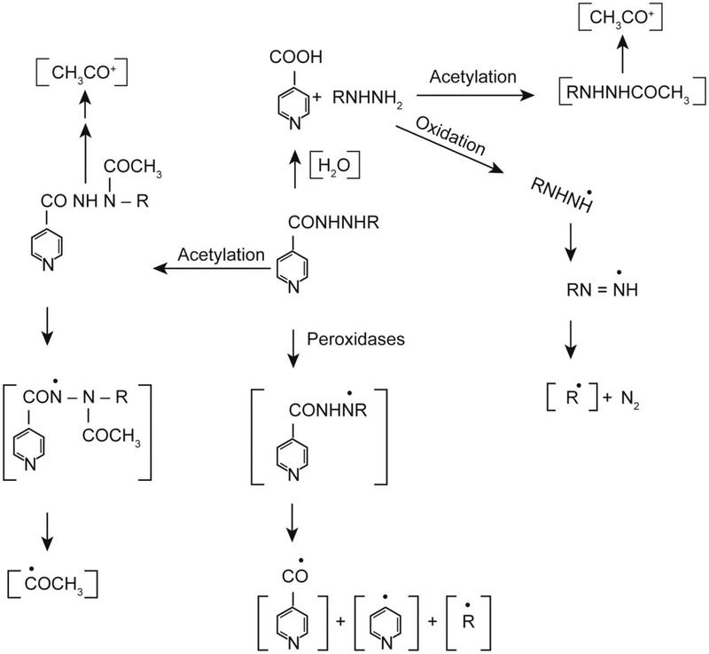 Figure 2: