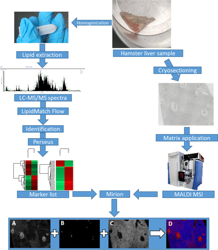 Fig. 2