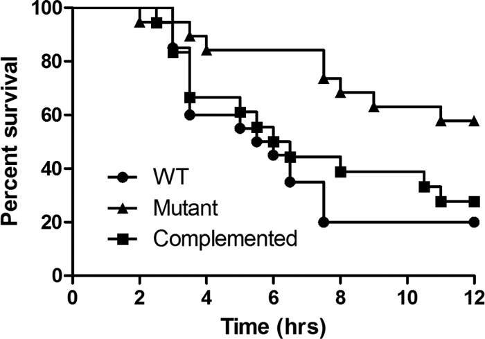 Fig. 5.