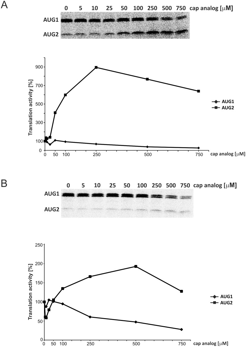 Fig 7