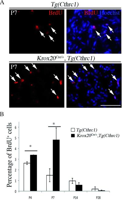 Figure 7